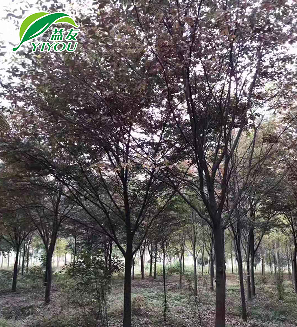 工廠一角-004